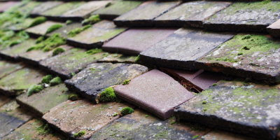 Aust roof repair costs